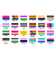 lgbt pride flags sexual diversity banners set vector image