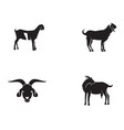 goat black animals logo and symbol vector image