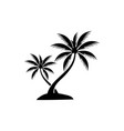 palm tree summer logo template vector image