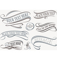 calligraphic design elements vector image