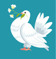 dove carrying flower branch in beak symbol peace vector image