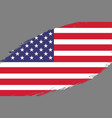 grunge styled flag vector image