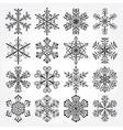 snowflakes christmas collection vector image