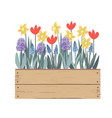 wooden vintage box with spring flowers tulips vector image vector image