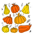 collection pumkins vegetable set doodle outline vector image