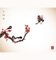 pine tree sakura cherry tree in blossom vector image
