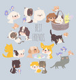 cartoon set with funny cats dogs and birds vector image vector image