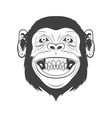 monkey head vector image
