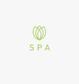 linear icon logo flower tulip for spa salon vector image