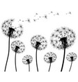 silhouette of a dandelion vector image vector image