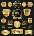 retro vintage golden badges and labels collection vector image