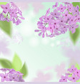 greeting card with roses watercolor can be used vector image