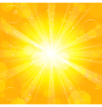 summer lights vector image vector image