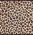 leopard seamless texture fur imitation vector image