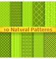 natural seamless patterns tiling vector image