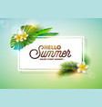 hello summer holiday typography vector image