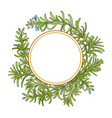 rosemary branch pattern vector image