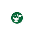 detox water icon vector image