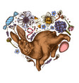 easter heart vintage design hand drawn rabbit vector image