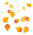 autumn background vector image