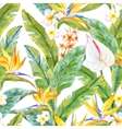 tropical watercolor pattern vector image