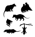 silhouettes of a opossum vector image