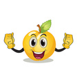 fruit vector image vector image