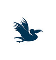 pelican vector image