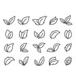 black linear icons leaves and branches vector image