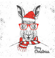 christmas hipster fashion animal rabbit vector image