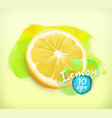 lemon watercolor vector image vector image