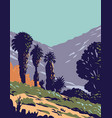 california fan palms in cottonwood spring oasis vector image vector image