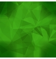 abstract green pattern vector image
