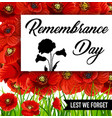 remembrance day lest we forget red poppy flowers vector image