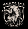 black and white of vulture vector image vector image