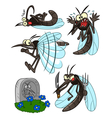 mosquito set vector image vector image
