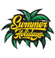 poster template for summer party vector image