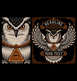 owl on the dark background vector image
