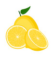 lemon fruit half and slice on white background vector image