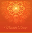 mandala abstract background vector image