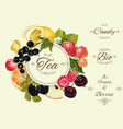 fruit and berry banner vector image vector image