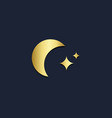 star moon abstract gold logo vector image vector image