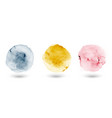 set brush watercolor circle multicolored vector image vector image