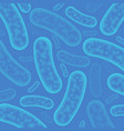 micro bacterium organisms vector image vector image