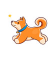 cartoon shiba inu dog catching star kawaii pet vector image