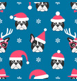seamless pattern with french bulldogs with santa vector image