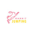 rabbits hare bunny jump pets feminine line modern vector image vector image
