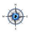 blue realistic eyeball on a compass vector image vector image