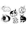 rabbits graphic vector image