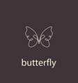 abstract beautiful butterfly vector image